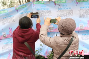 濟南三月三相親會，銀發團扎堆難尋良緣